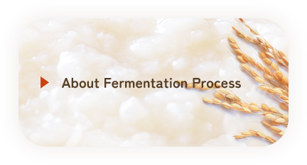 About Fermentation Process