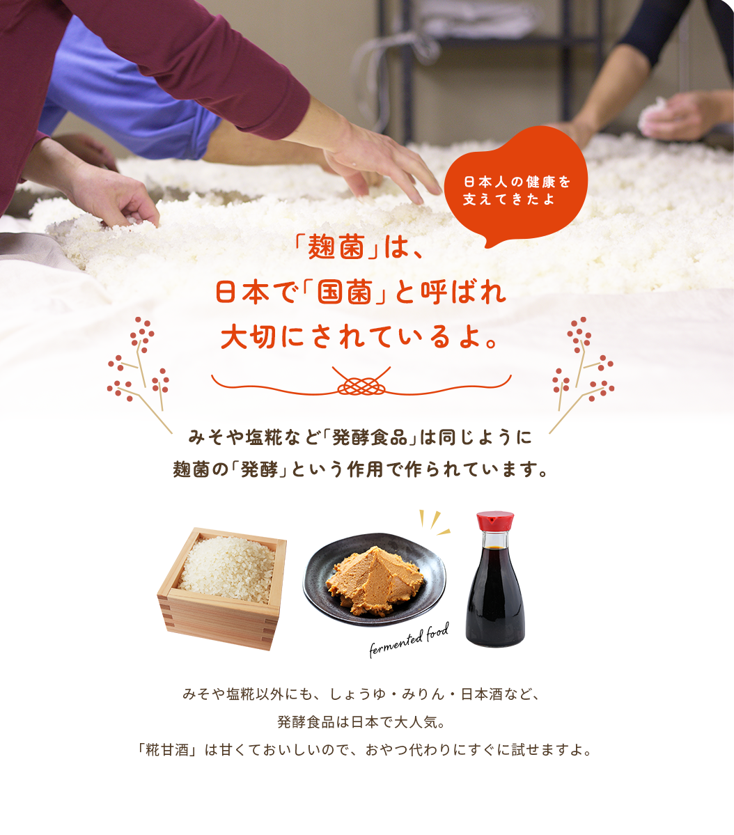 「麹菌」は、日本で「国菌」と呼ばれ大切にされているよ。